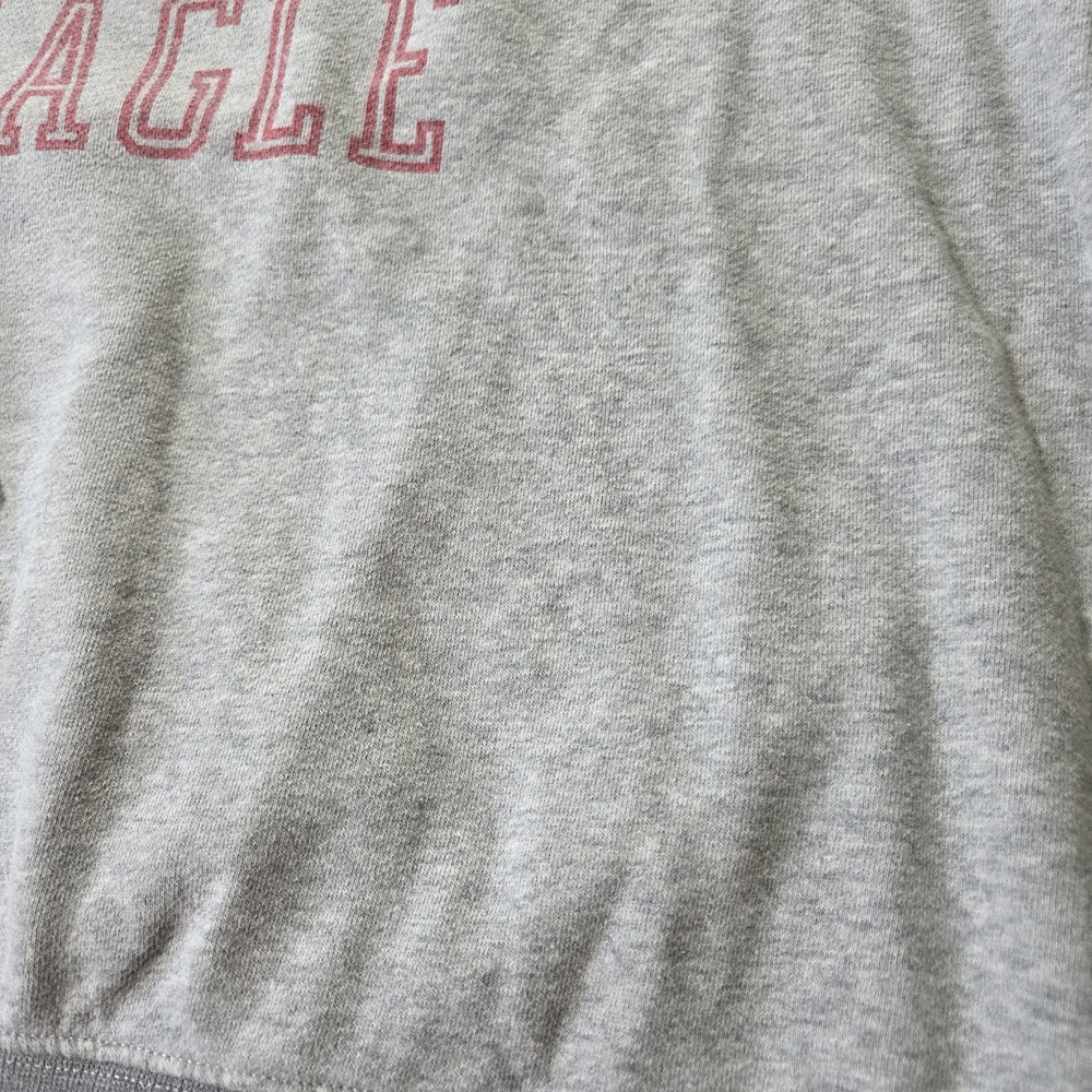 AEO Graphic Fleece Crewneck Sweatshirt Gray Pink Size XS - Picture 8 of 15